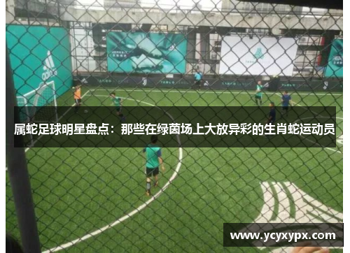 属蛇足球明星盘点：那些在绿茵场上大放异彩的生肖蛇运动员