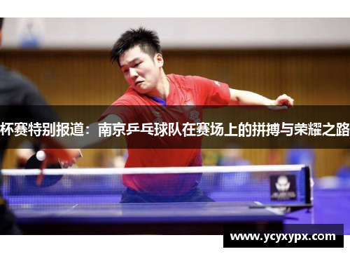 杯赛特别报道：南京乒乓球队在赛场上的拼搏与荣耀之路