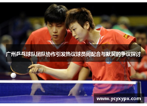 广州乒乓球队团队协作引发热议球员间配合与默契的争议探讨