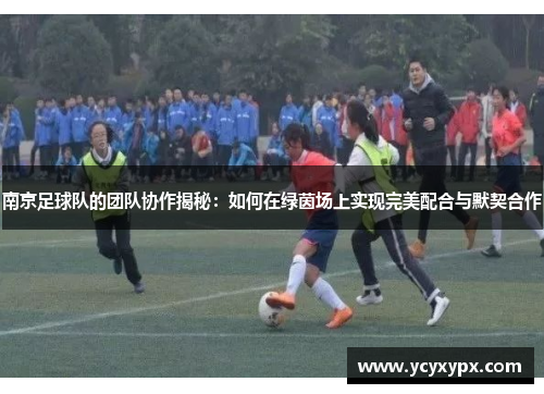 南京足球队的团队协作揭秘：如何在绿茵场上实现完美配合与默契合作