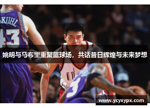 姚明与马布里重聚篮球场，共话昔日辉煌与未来梦想