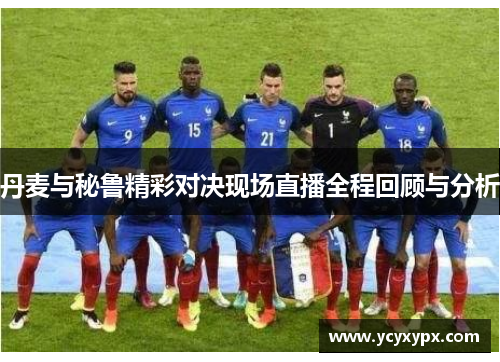 丹麦与秘鲁精彩对决现场直播全程回顾与分析